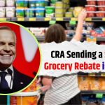 CRA grocery rebate 2025 (1)